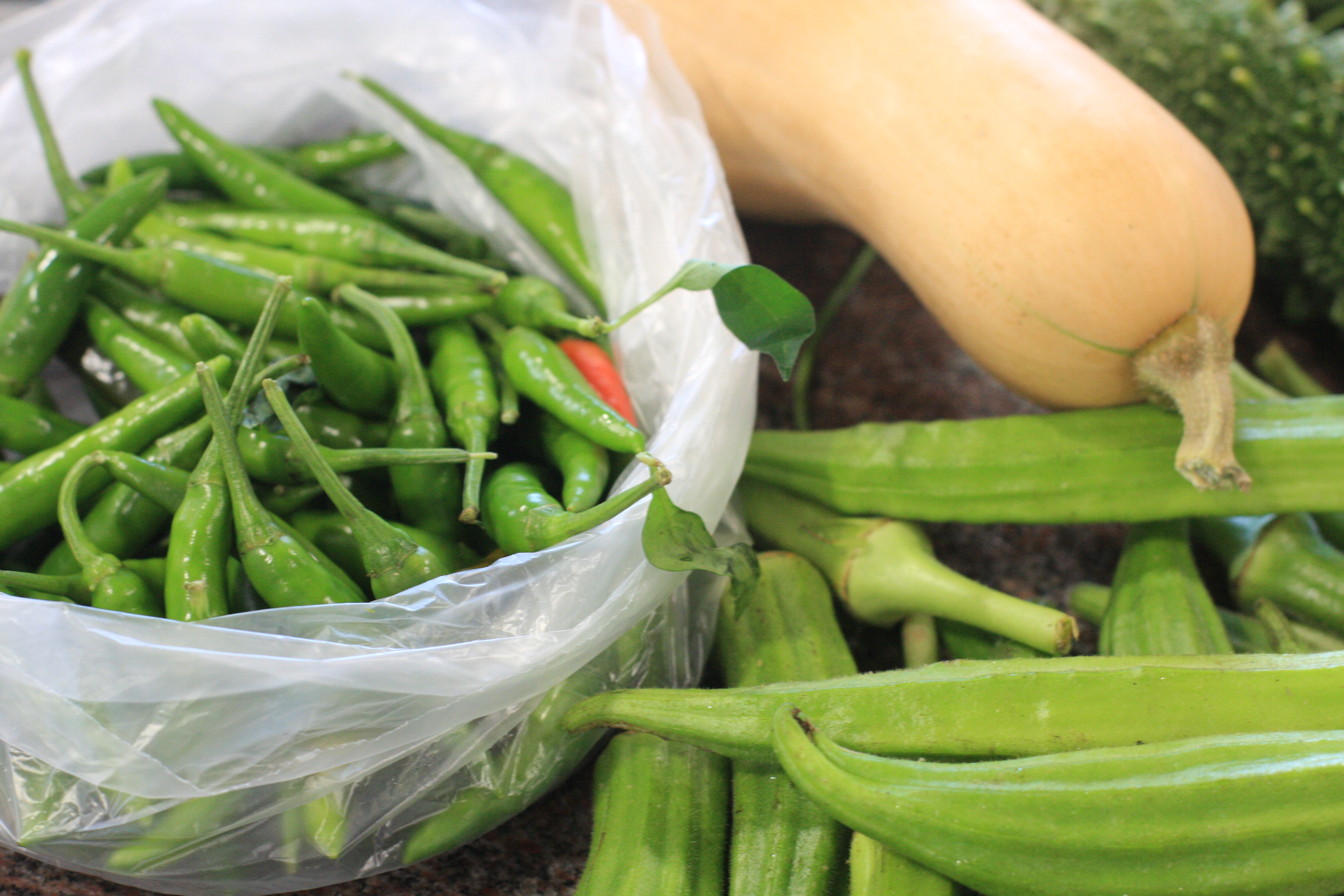 CSA Produce