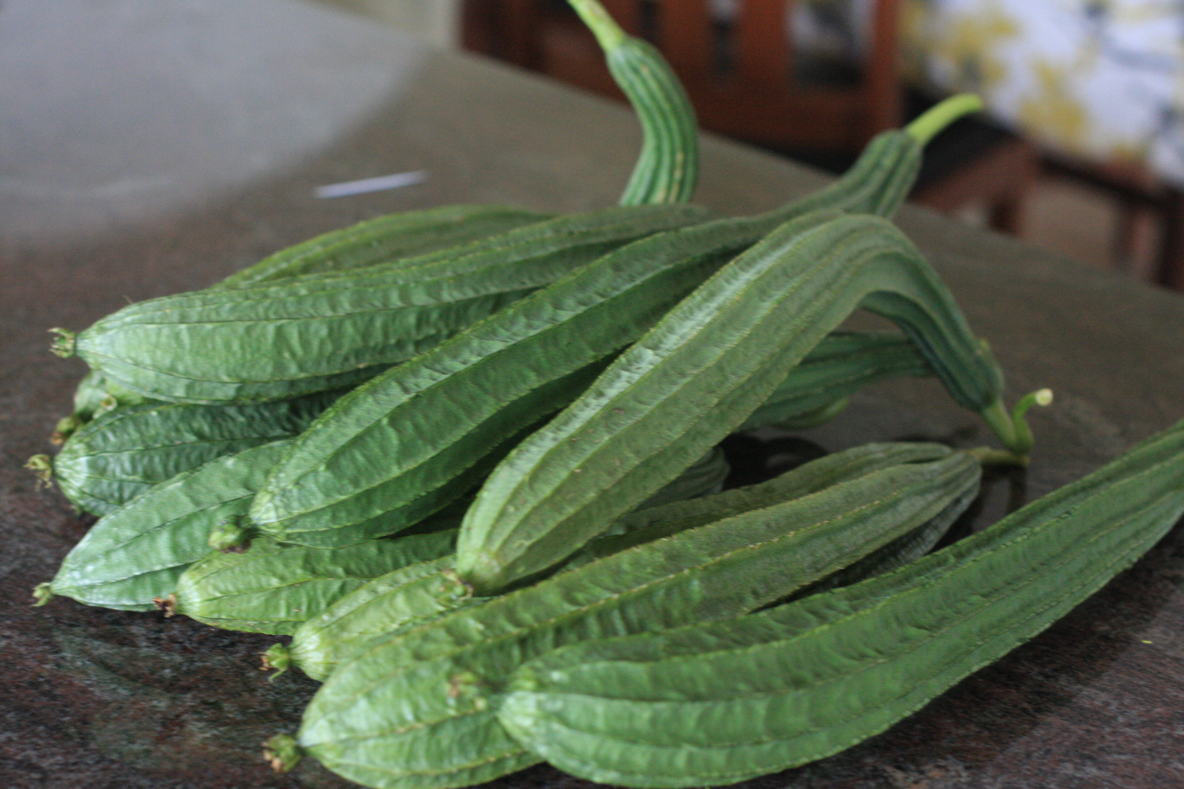 Ridge Gourds